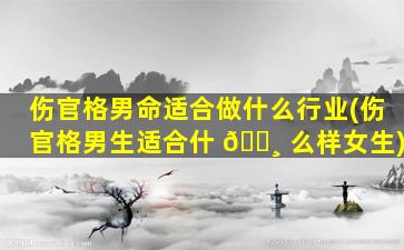 伤官格男命适合做什么行业(伤官格男生适合什 🕸 么样女生)